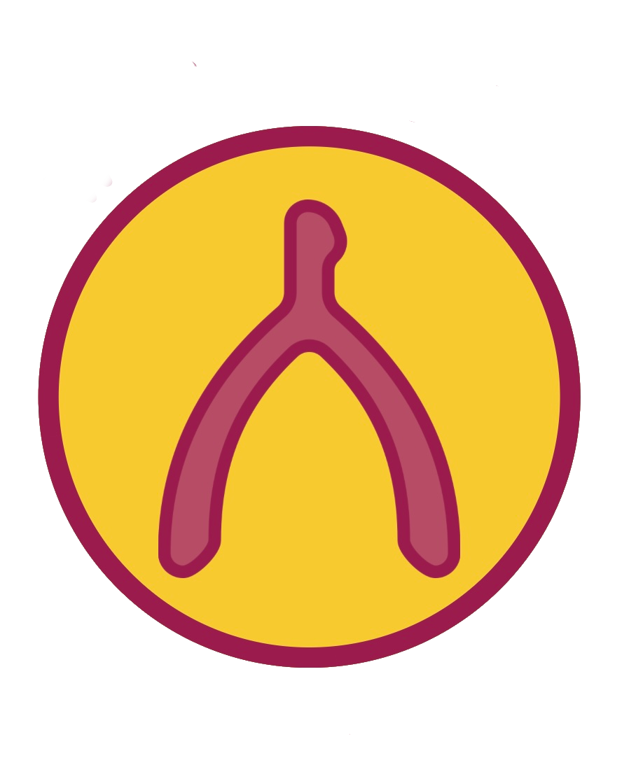 Wishbone Pet Care Collective